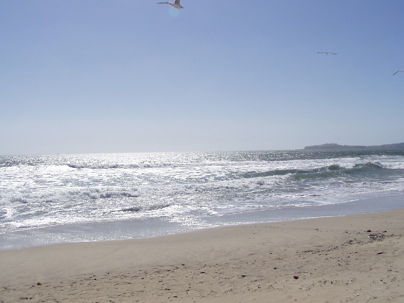 venice_beach_20040612_12.jpg