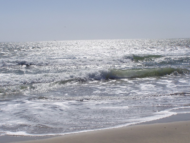venice_beach_20040612_14.jpg