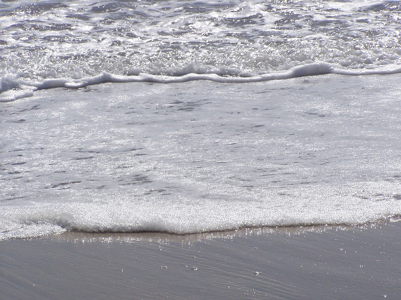 venice_beach_20040612_17.jpg