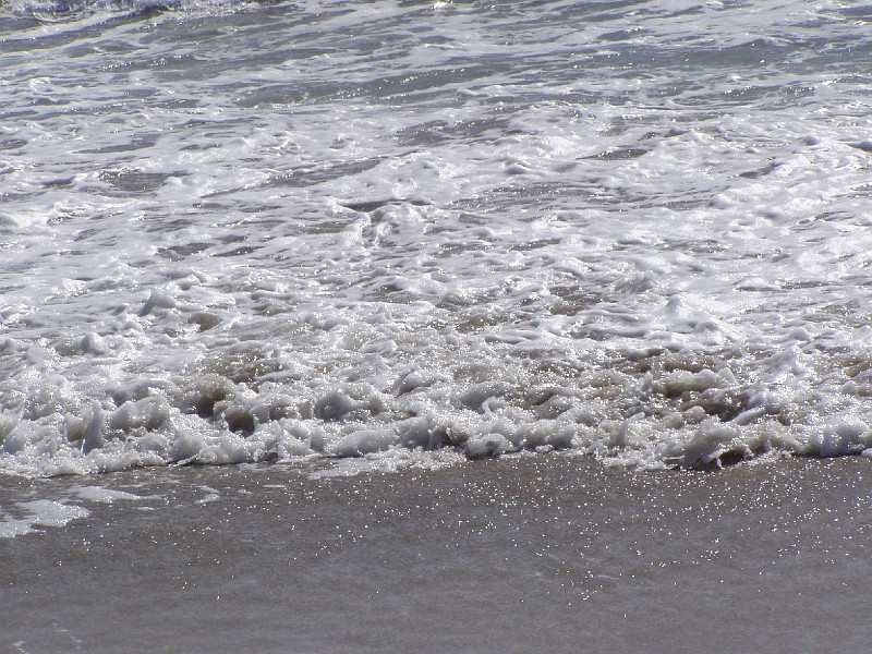 venice_beach_20040612_18.jpg