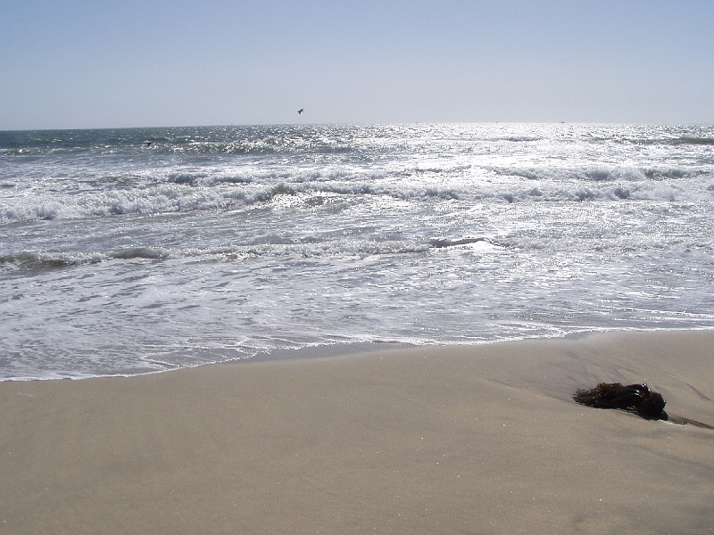 venice_beach_20040612_19.jpg