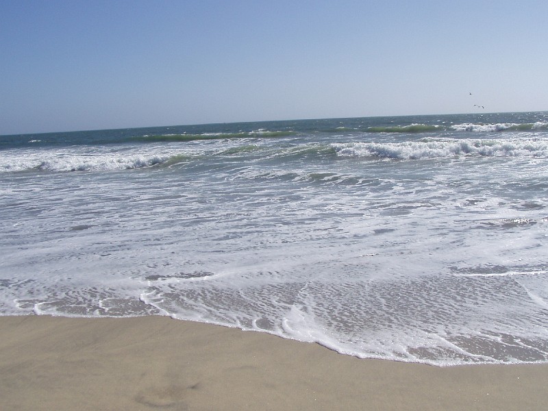 venice_beach_20040612_20.jpg