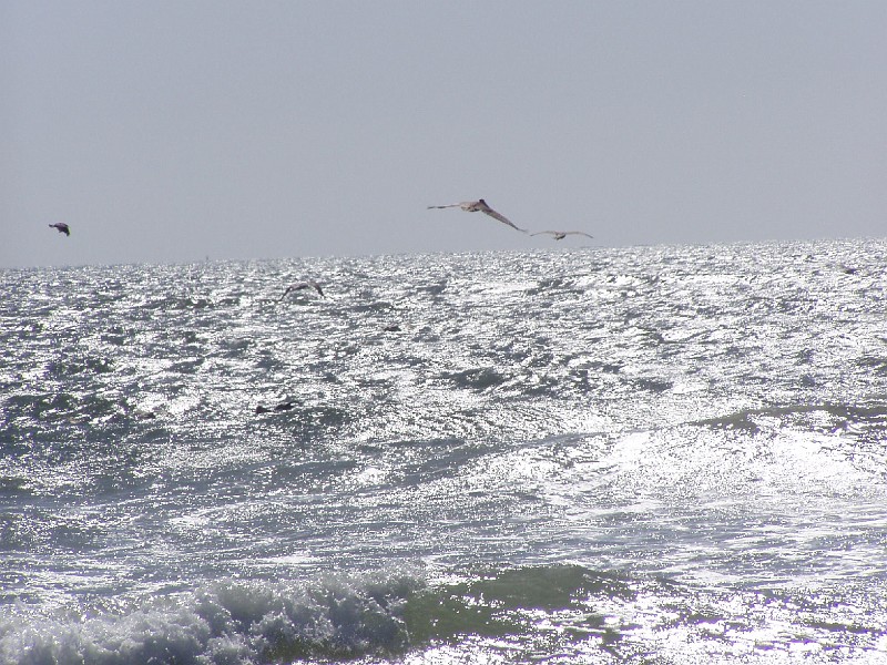 venice_beach_20040612_23.jpg
