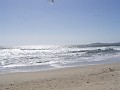 venice_beach_20040612_12