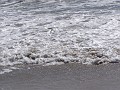 venice_beach_20040612_18
