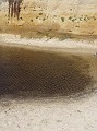 venice_beach_20040612_29