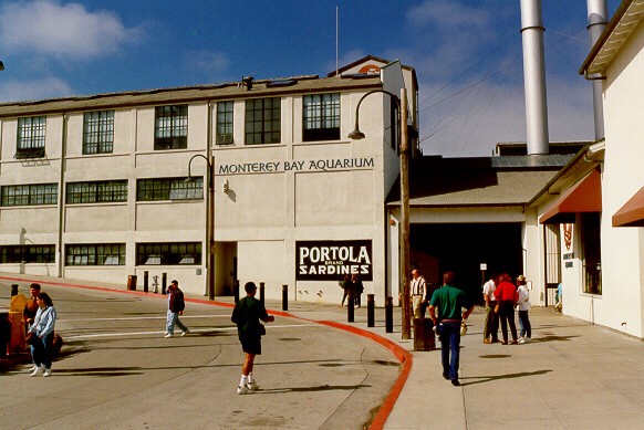 gzp87.jpg