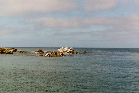 mray97.jpg