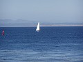 monteray37