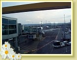prg20060412_frankfurt_7