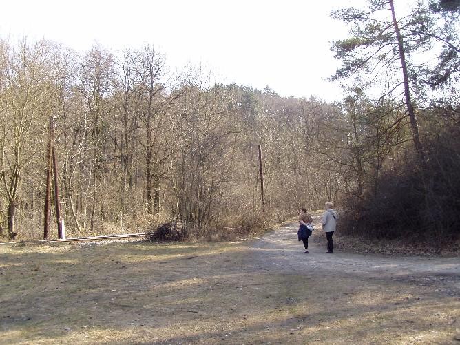 prague20060408_conservation_tracks080.jpg