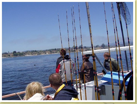 020_soquel_shore.jpg