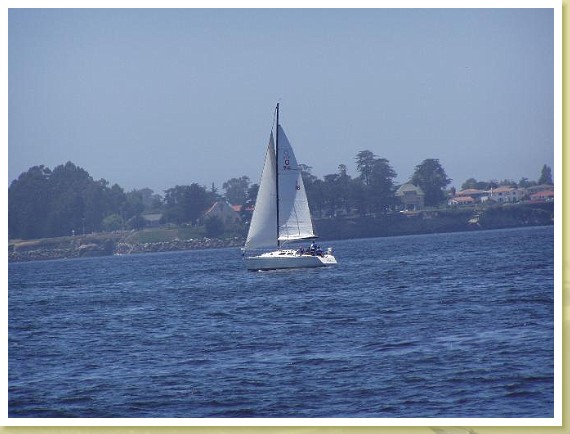 044_sail_boat.jpg