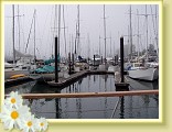 001_harbor
