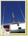 007_fishing_poles