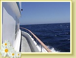 012_boat_waves