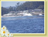 035_soquel_waves