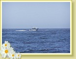 038_fishing_boat
