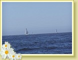 041_sail_boats