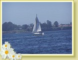 044_sail_boat