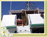 060_walter