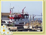 sf20050703fireboat_35