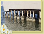 sf20050703piers_29