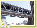 sf20050703rn_12