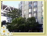 sf20050703rn_41