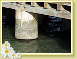 sf20050703sffdpier_26